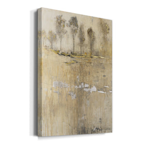 Cloaked in Mist I - Canvas Art Print