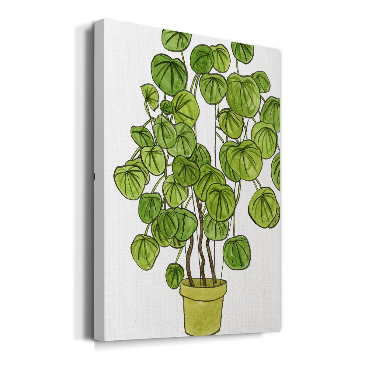 Potted Jungle II Premium Gallery Wrapped Canvas - Ready to Hang