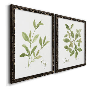 Herb Sage - Premium Framed Canvas 2 Piece Set - Ready to Hang
