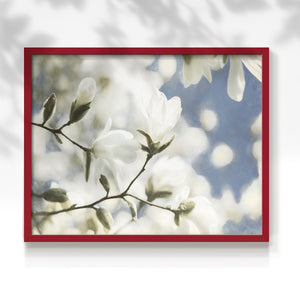 43929,magnolia,blossoms,spring,flowers,garden,blue sky,nature,beauty,tranquility,blooming,sunlight,botanical,peaceful,outdoors,flora,petals,branches,park,season,fresh,growth,serene,scenic,backdrop,environment,landscape,sweet,charm,floral,organic,foliage,springtime,seasonality,colors,trees,nature lovers,wildlife,aesthetic,Re-stickable,Plants & Flowers