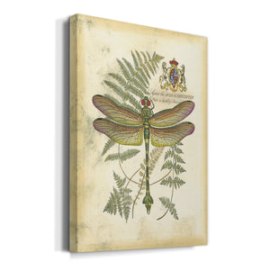 Regal Dragonfly III (PP)  - Canvas Art Print