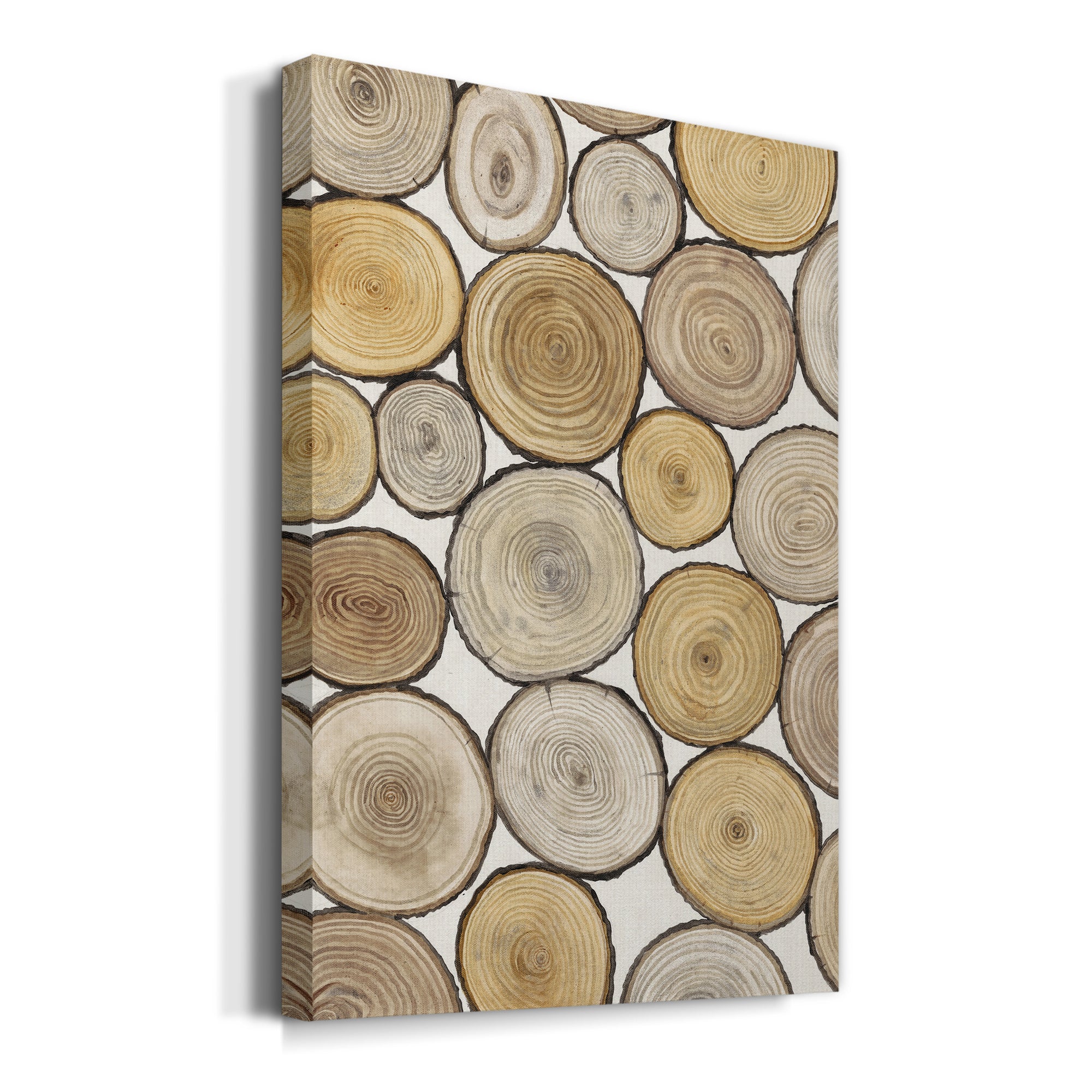 Tree Ring Study I Premium Gallery Wrapped Canvas - Ready to Hang