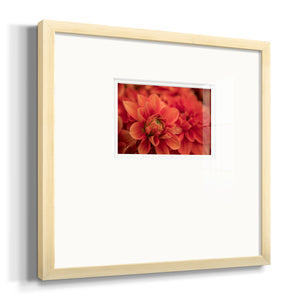 Spring Fire Premium Framed Print Double Matboard