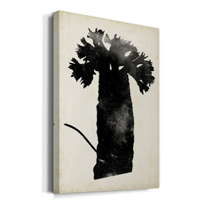 Fern Silhouette II Premium Gallery Wrapped Canvas - Ready to Hang