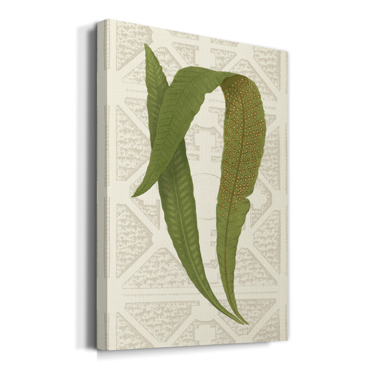Garden Ferns IV Premium Gallery Wrapped Canvas - Ready to Hang