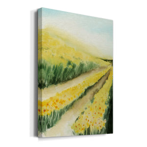 Gilded Aisles I - Canvas Art Print