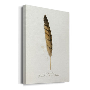 Found Feather III - Canvas Art Print