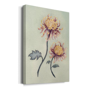 Chrysanthemum Beauty II Premium Gallery Wrapped Canvas - Ready to Hang