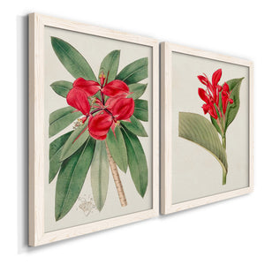 Flora of the Tropics III - Premium Framed Canvas 2 Piece Set - Ready to Hang