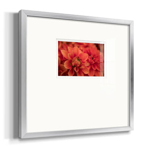 Spring Fire Premium Framed Print Double Matboard