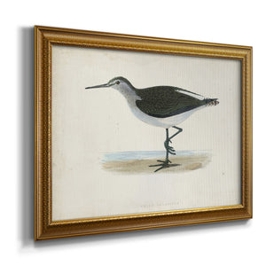 Morris Sandpipers VI Premium Framed Canvas- Ready to Hang