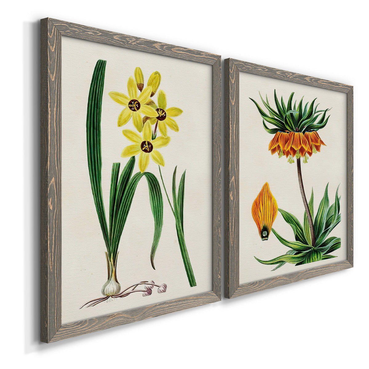 Antique Floral Folio VI - Premium Framed Canvas 2 Piece Set - Ready to Hang