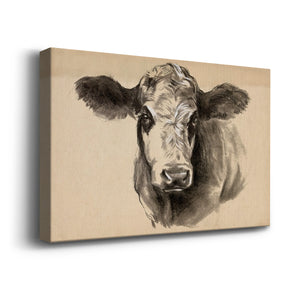 Charcoal Cow I Premium Gallery Wrapped Canvas - Ready to Hang