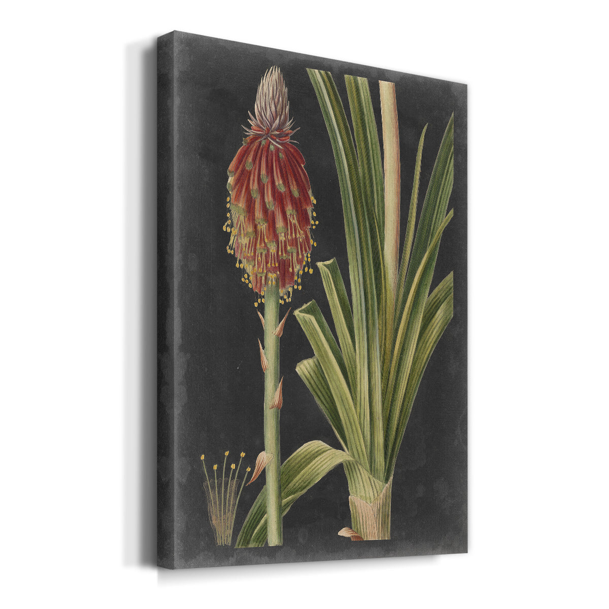 Dramatic Tropicals IV Premium Gallery Wrapped Canvas - Ready to Hang