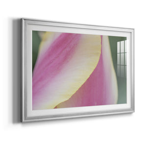 Delicate - Modern Framed Art Print