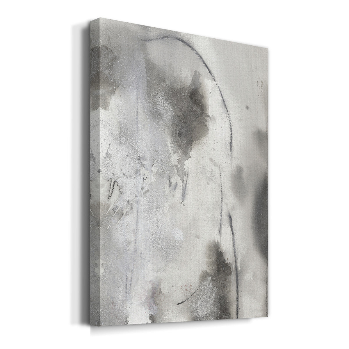 Mystical Objects IV Premium Gallery Wrapped Canvas - Ready to Hang