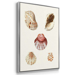 Pastel Knorr Shells I - Framed Premium Gallery Wrapped Canvas L Frame 3 Piece Set - Ready to Hang