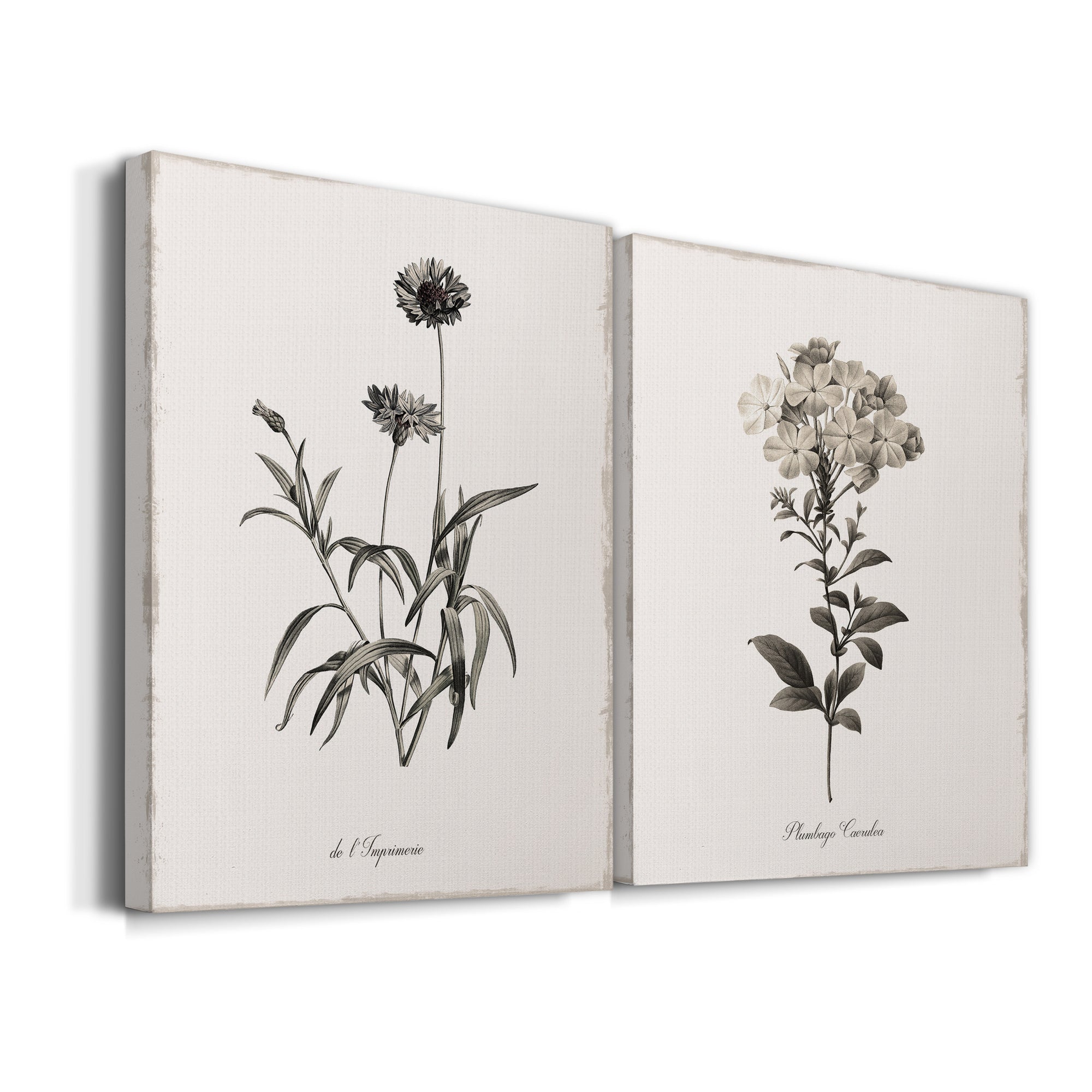 Sketchbook Imperial Premium Gallery Wrapped Canvas - Ready to Hang - Set of 2 - 8 x 12 Each