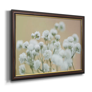 Baby's Breath Study II Premium Framed Canvas- Ready to Hang