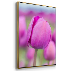 Magenta Stem - Framed Premium Gallery Wrapped Canvas L Frame - Ready to Hang