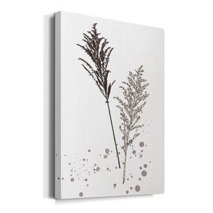 Botany Flower VI Premium Gallery Wrapped Canvas - Ready to Hang