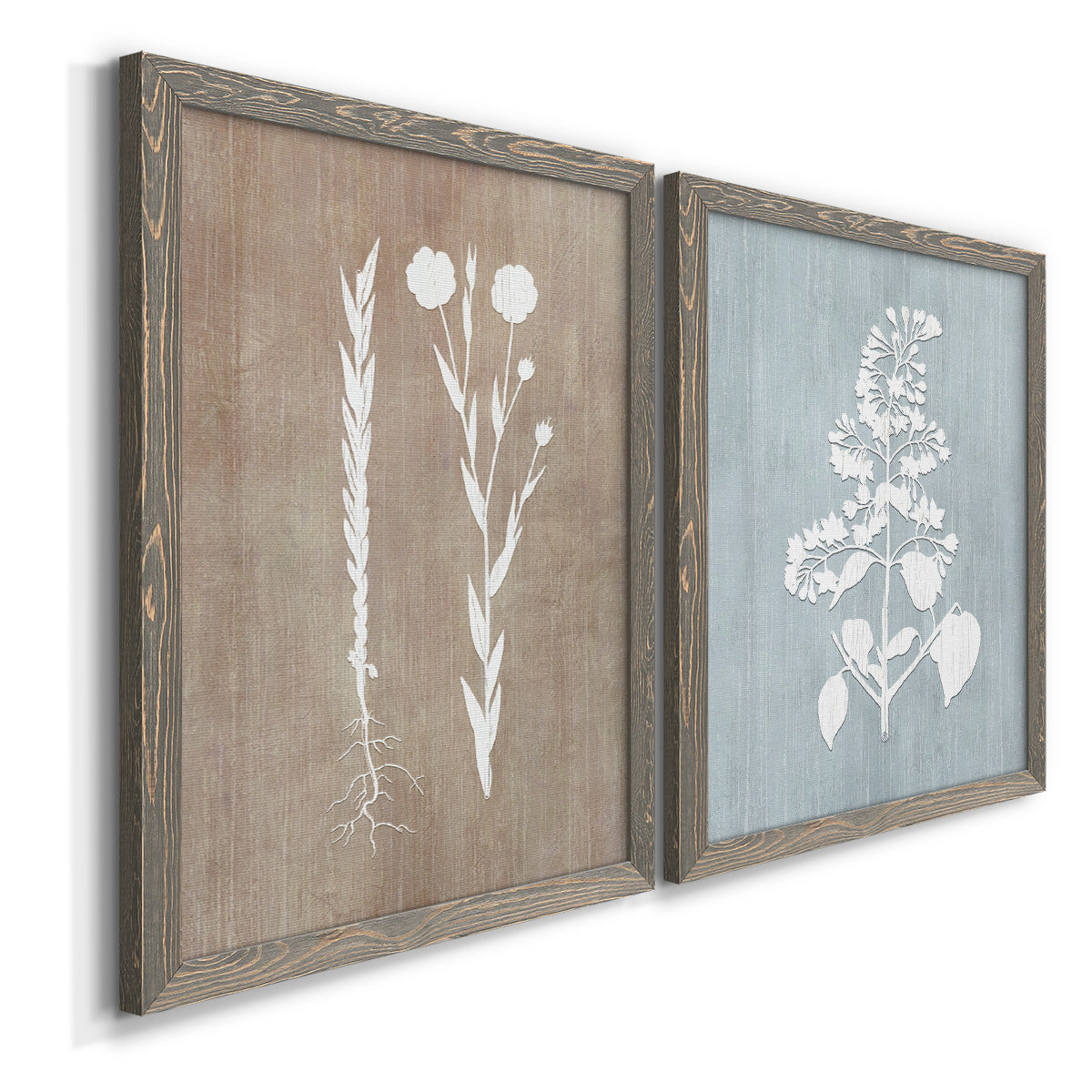 Botany Beauty III - Premium Framed Canvas 2 Piece Set - Ready to Hang