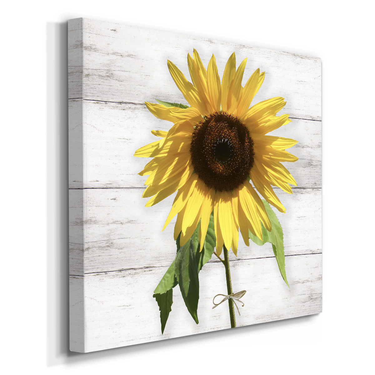Sunflower on Wood-Premium Gallery Wrapped Canvas - Ready to Hang