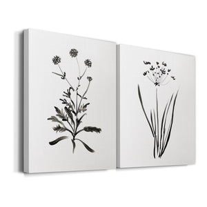 Inky Botanical I Premium Gallery Wrapped Canvas - Ready to Hang