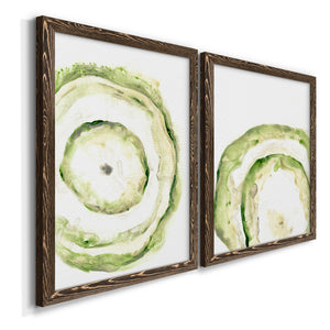 Lichen Halo III - Barnwood Framed Canvas Set
