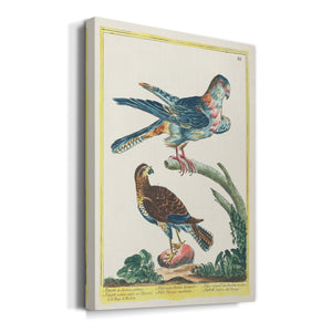 Pastel Birds III - Canvas Art Print