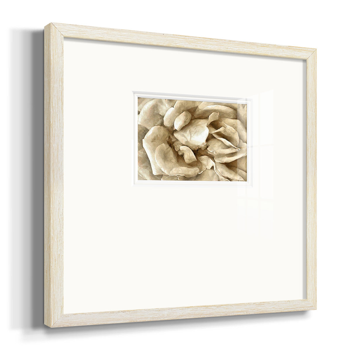 Neutral Wall Flower II Premium Framed Print Double Matboard