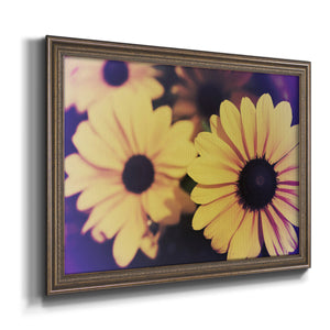 Susans IV Premium Framed Canvas- Ready to Hang