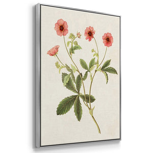 Flowers of the Seasons VI - Framed Premium Gallery Wrapped Canvas L Frame 3 Piece Set - Ready to Hang