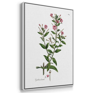 Rose Botanical I - Framed Premium Gallery Wrapped Canvas L Frame 3 Piece Set - Ready to Hang