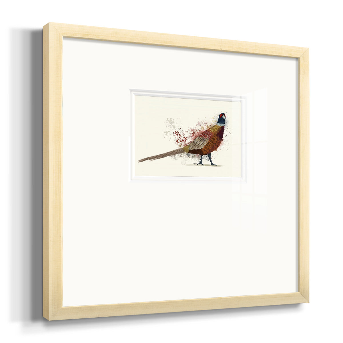 Pheasant Splash 2 Premium Framed Print Double Matboard