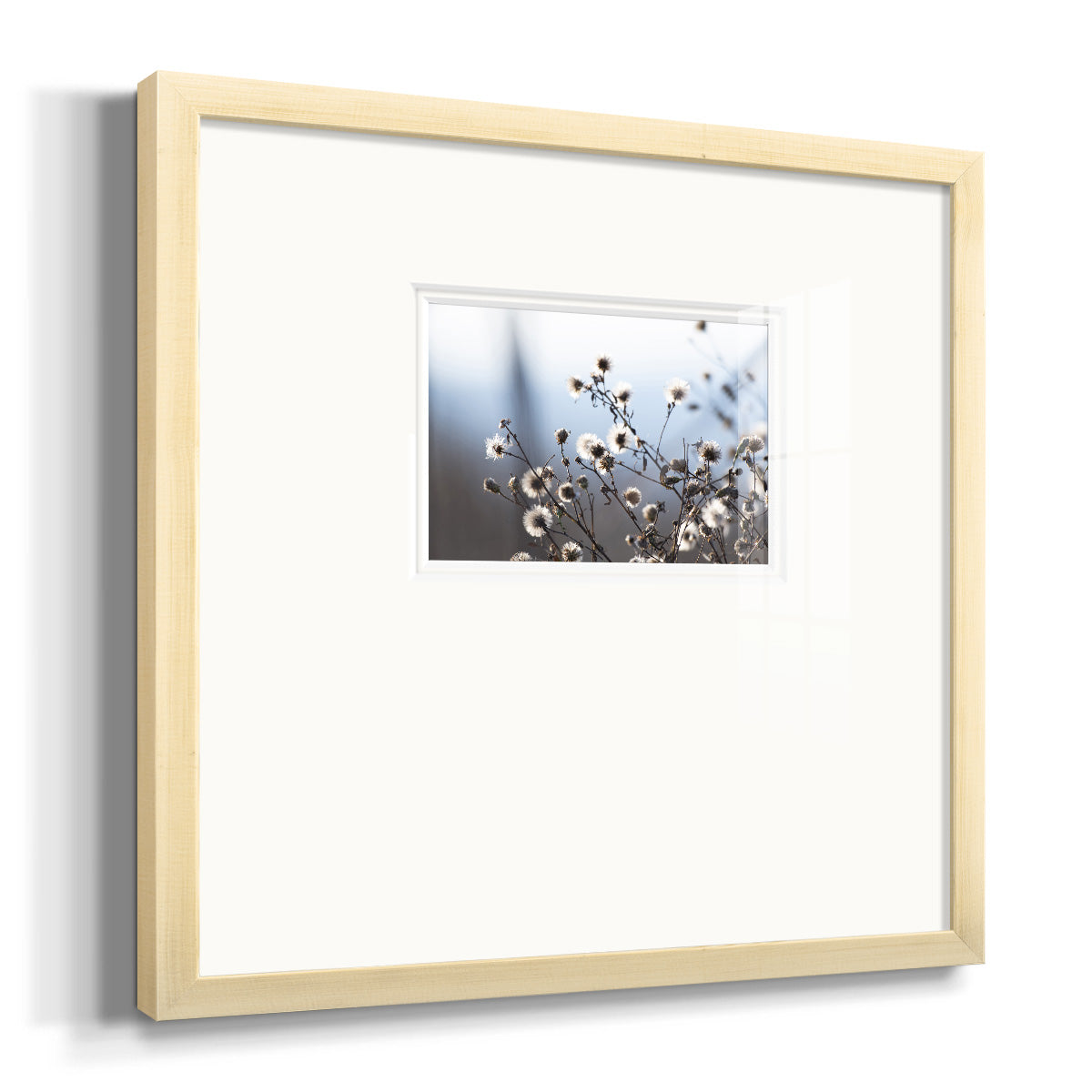 Spring Fluff- Premium Framed Print Double Matboard