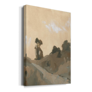 Hillside Walking Path VI - Canvas Art Print