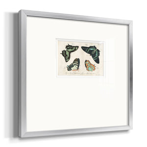 Crackled Butterflies III Premium Framed Print Double Matboard