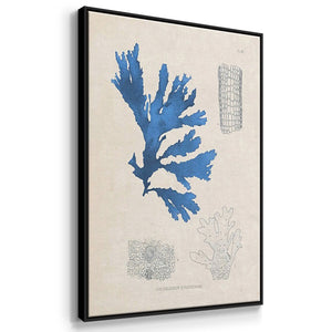 Blue Marine Algae VI - Framed Premium Gallery Wrapped Canvas L Frame 3 Piece Set - Ready to Hang