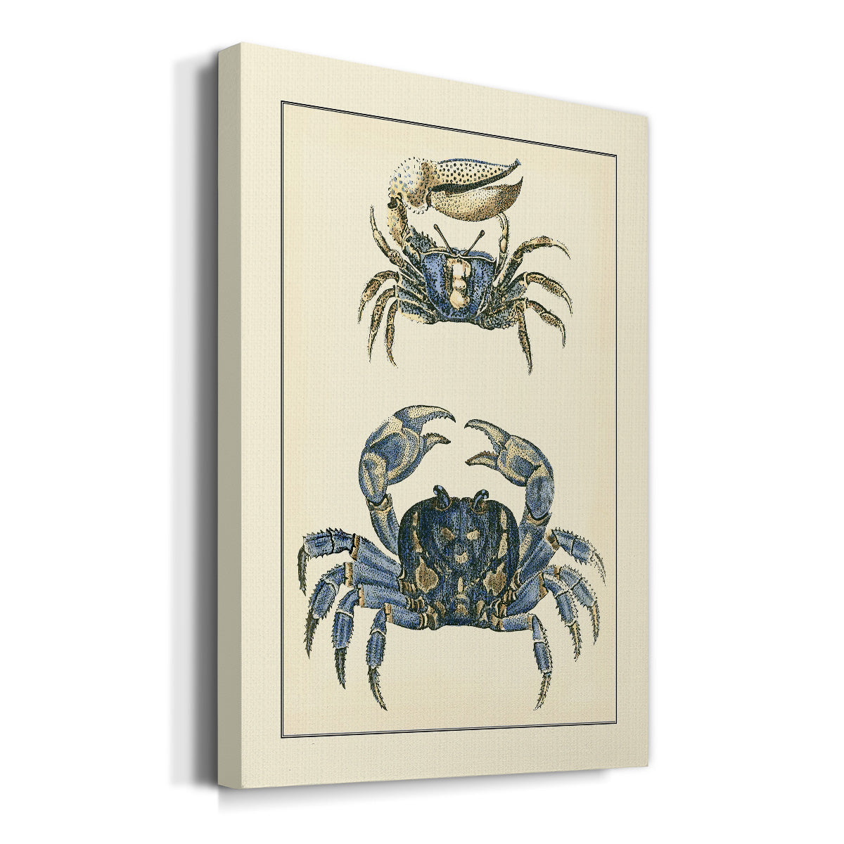 Antique Blue Crabs II Premium Gallery Wrapped Canvas - Ready to Hang