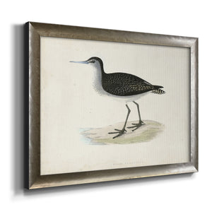 Morris Sandpipers VIII Premium Framed Canvas- Ready to Hang