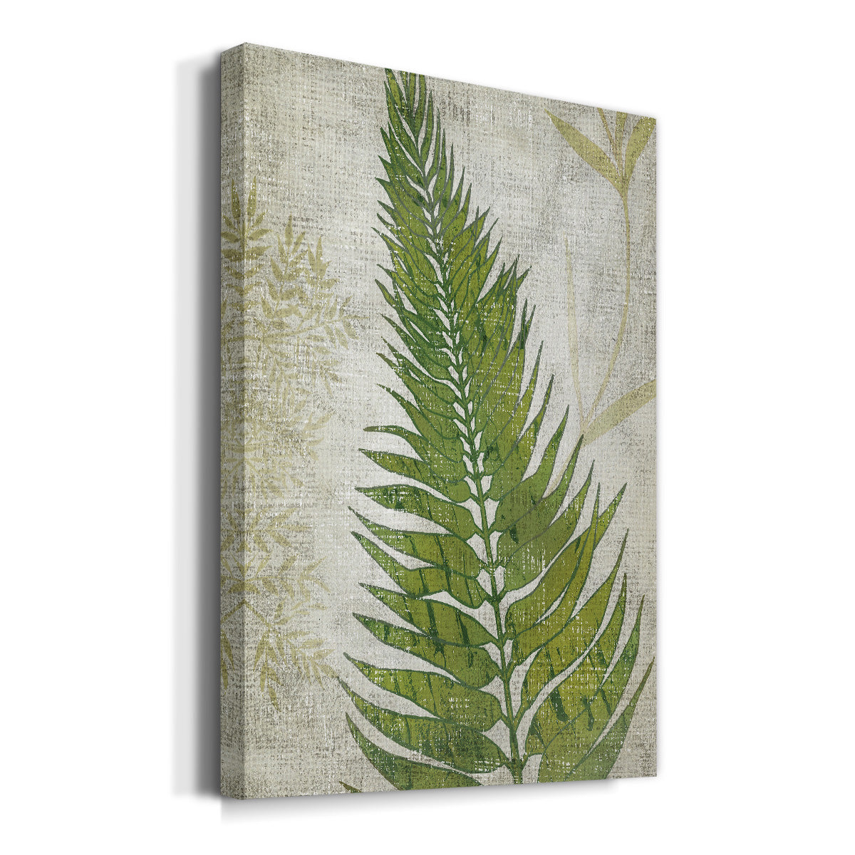 Frond II Premium Gallery Wrapped Canvas - Ready to Hang