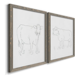 Limousin Cattle III - Premium Framed Canvas 2 Piece Set - Ready to Hang