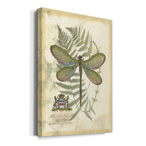 Regal Dragonfly II (PP)  - Canvas Art Print