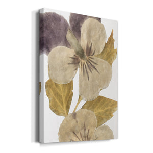 Neutral Pansy I Premium Gallery Wrapped Canvas - Ready to Hang