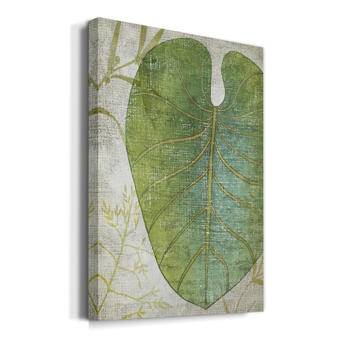 Frond IV Premium Gallery Wrapped Canvas - Ready to Hang