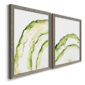 Lichen Halo I - Barnwood Framed Canvas Set