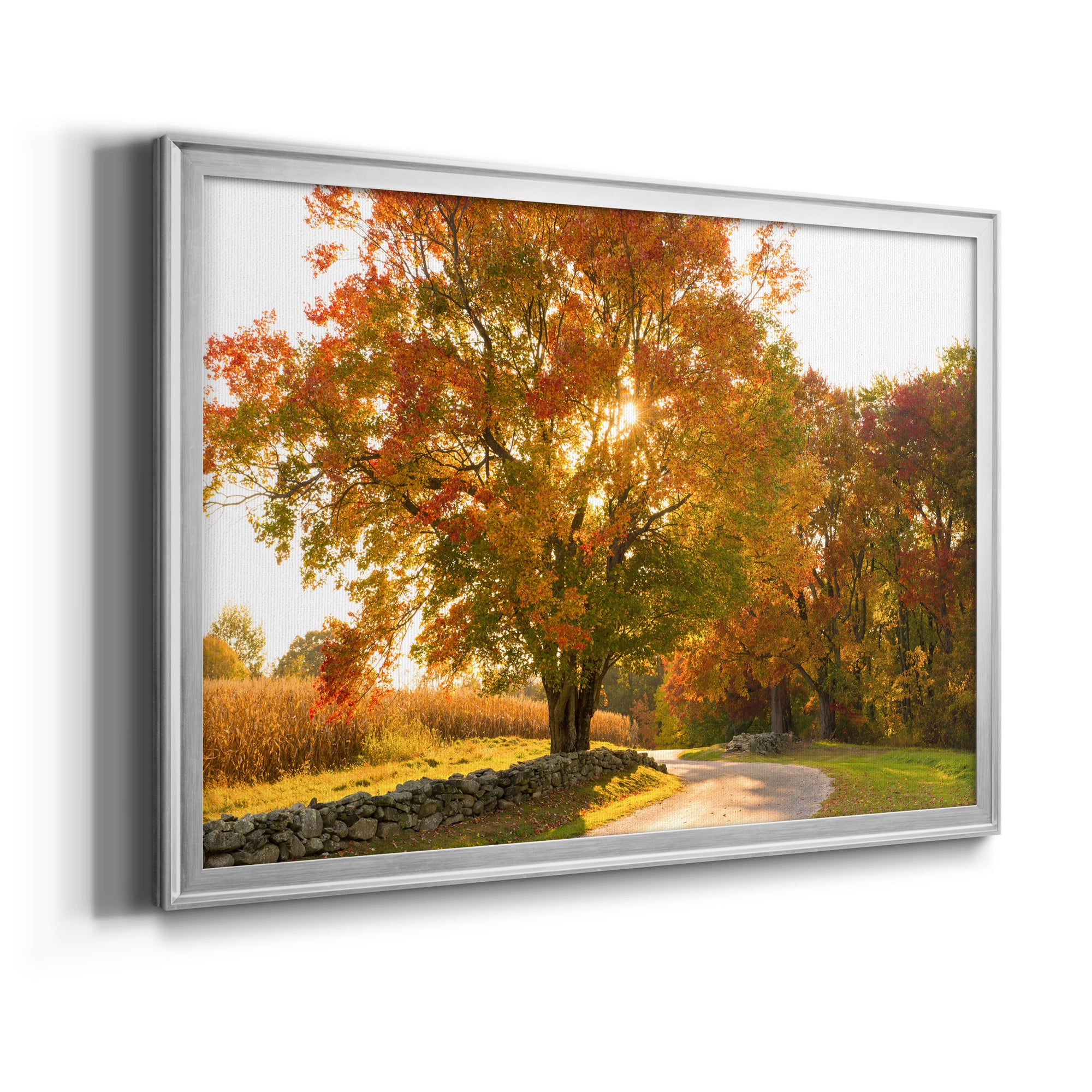 Maple Tree Drive Premium Classic Framed Canvas - Ready to Hang