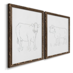 Limousin Cattle III - Premium Framed Canvas 2 Piece Set - Ready to Hang