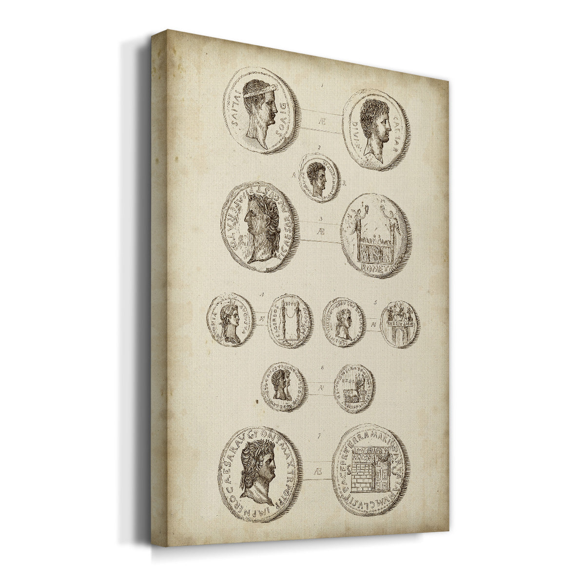 Antique Roman Coins I Premium Gallery Wrapped Canvas - Ready to Hang